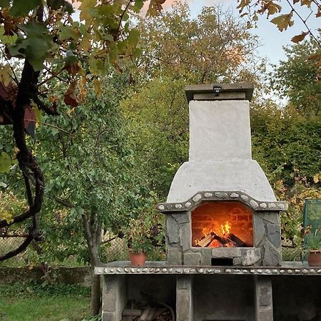 Къща За Гости Ягода ساباريفا بانيا المظهر الخارجي الصورة